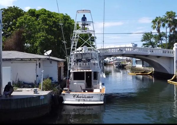 Viking 48 Convertible image