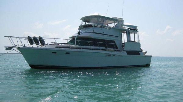 Camargue Yacht-fish