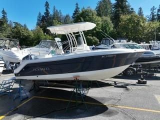 Robalo R222 Center Console image