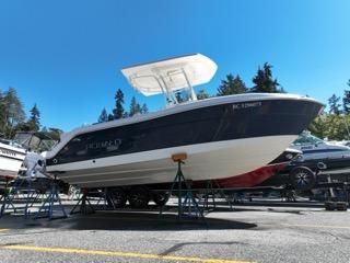 Robalo R222 Center Console image