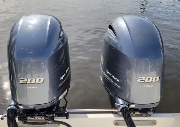 Cobia 280 Dual Console image