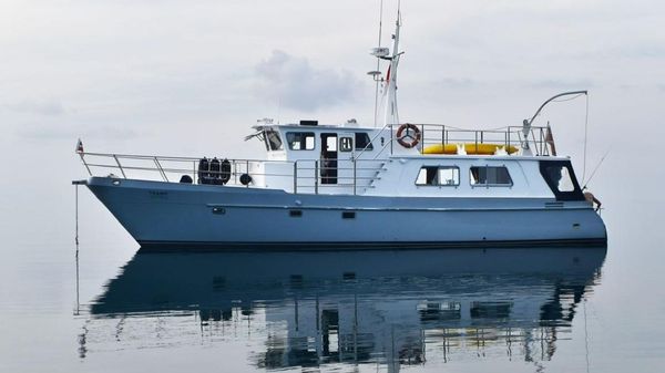 Seahorse 52