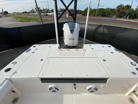 Robalo CAYMAN-246 image