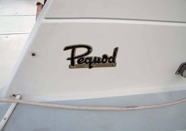 Pequod FLYBRIDGE-SEDAN image