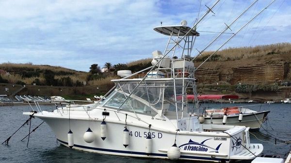 Luhrs 31 Open