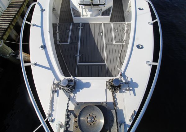 Ocean Master 31 image