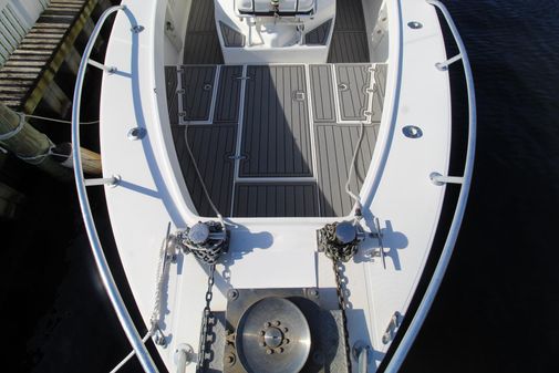 Ocean Master 31 image