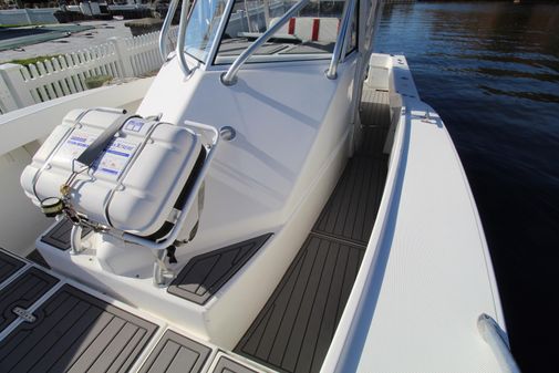 Ocean Master 31 image