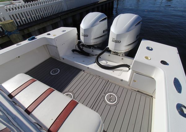 Ocean Master 31 image