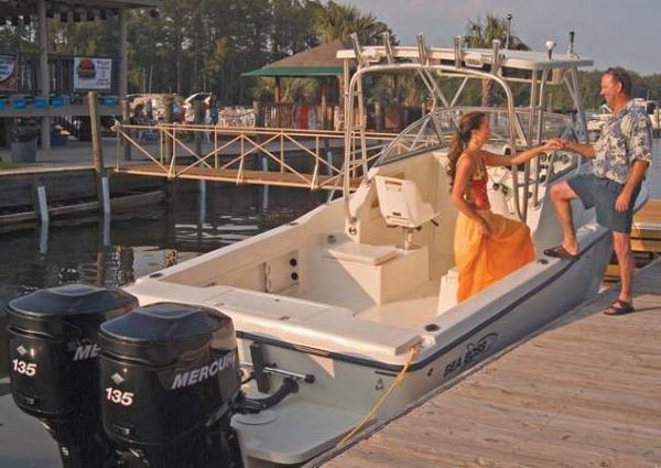 Sea-boss 235-WALKAROUND image