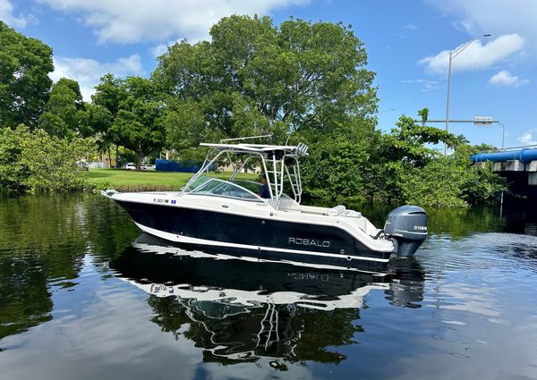 Robalo R247 image