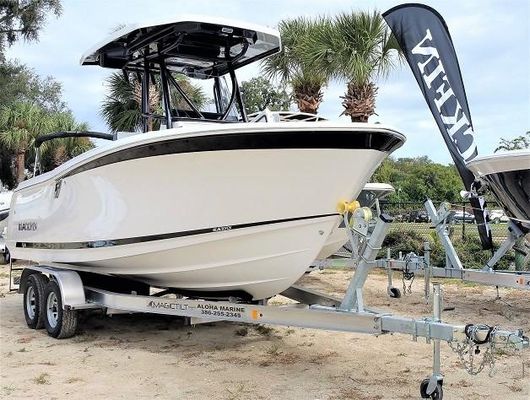 Blackfin 212 CC - main image