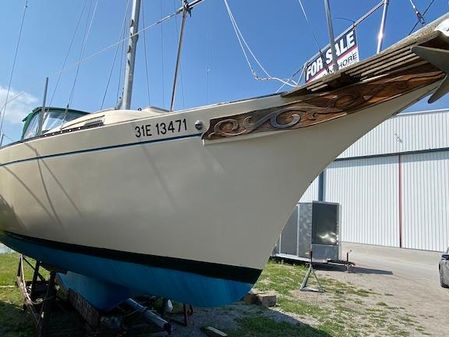 Bayfield 29 image