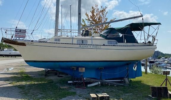 Bayfield 29 