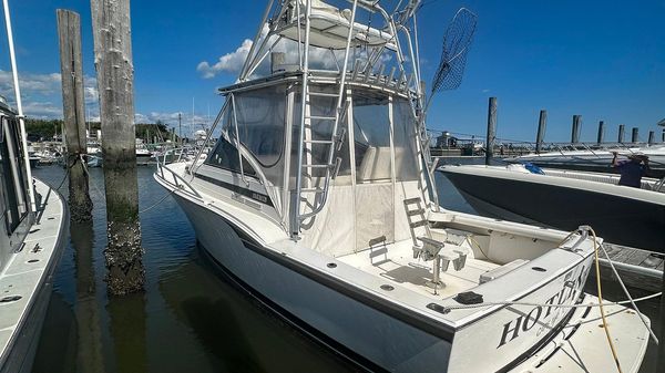 Blackfin 31 Combi