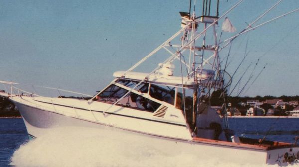 Henriques 38 El Bravo