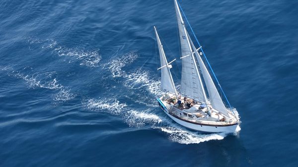 Transpacific Marine Transpac 49