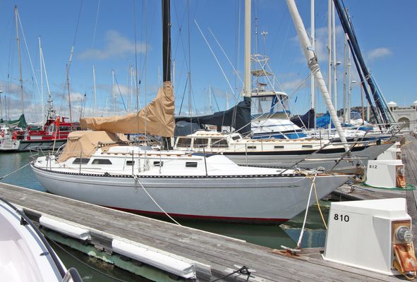 Islander sloop - main image