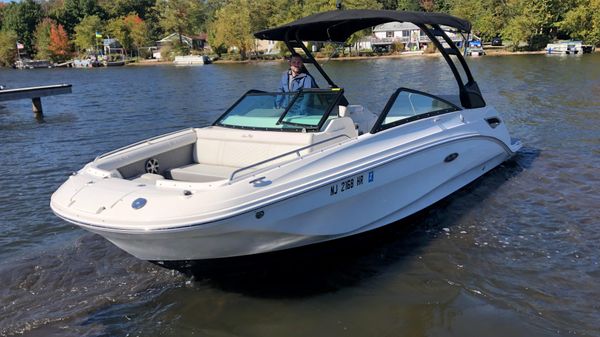 Sea Ray SDX 250