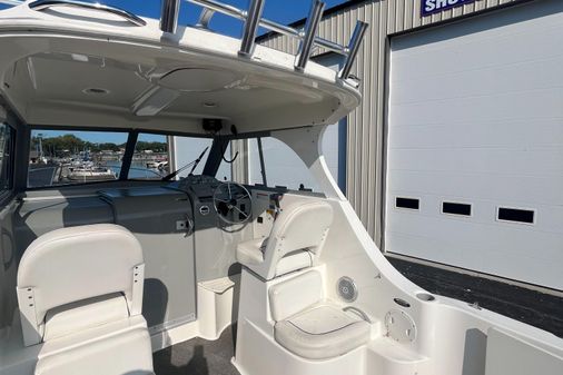 Bayliner 266 Discovery image