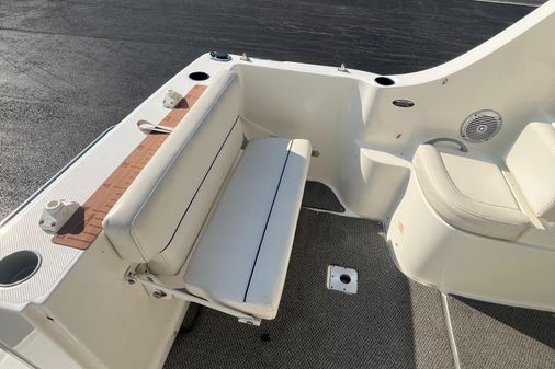 Bayliner 266 Discovery image