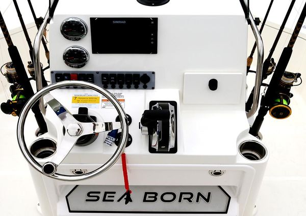 Sea-born FX22-BAY image