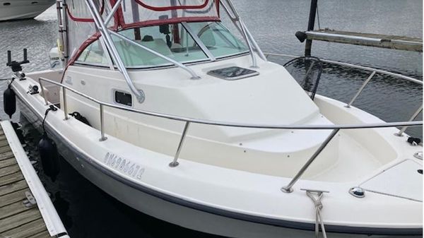 Hydra-Sports 230 Seahorse