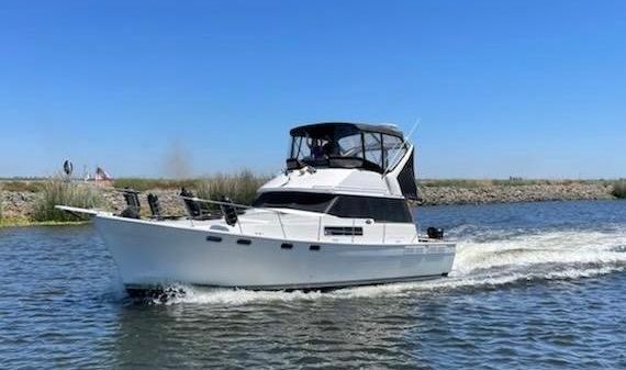 Bayliner 3888 Motoryacht