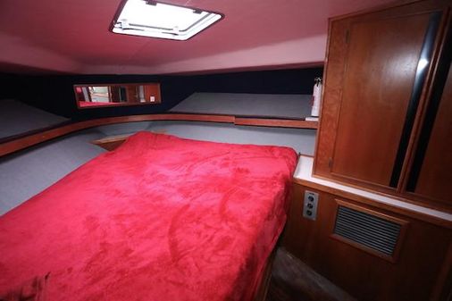 Sea-ray 440-AFT-CABIN image