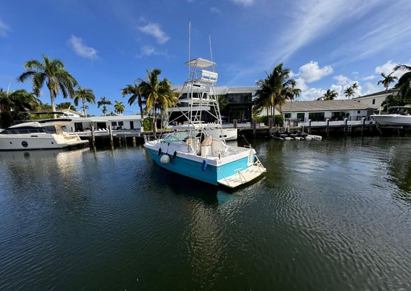 Chris-craft 333-COMMANDER image