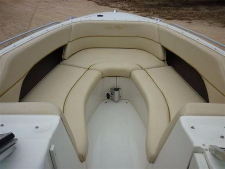 Sea-ray 260-SIGNATURE-SELECT image
