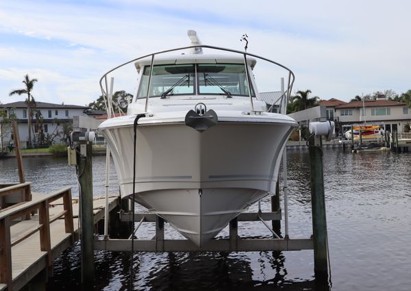 Boston Whaler 315 Conquest image