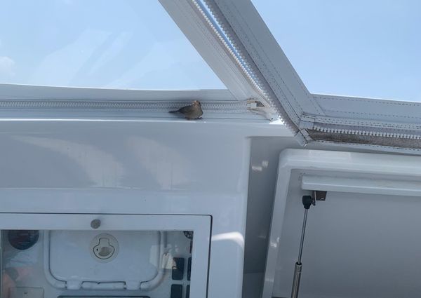 Hines-Farley 34 Express image