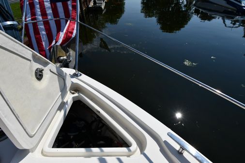 Carver 43 Motor Yacht image