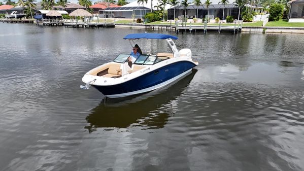 Sea-ray SDX-270-OUTBOARD image