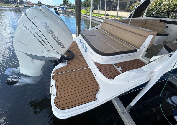 Sea-ray SDX-270-OUTBOARD image