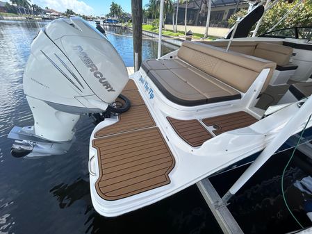 Sea-ray SDX-270-OUTBOARD image