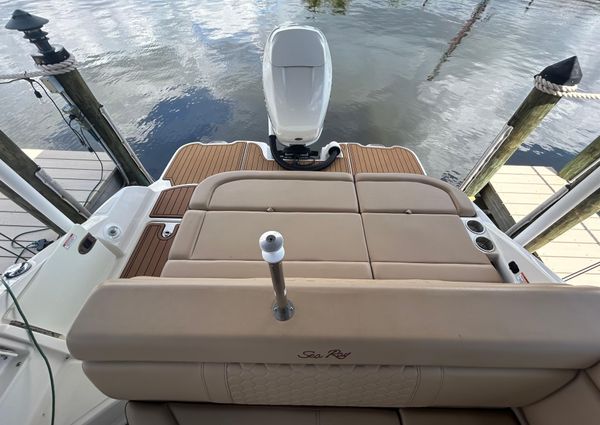 Sea-ray SDX-270-OUTBOARD image