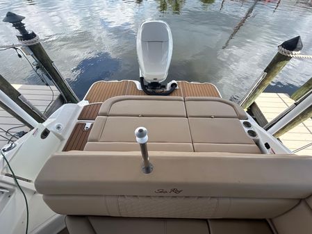 Sea-ray SDX-270-OUTBOARD image