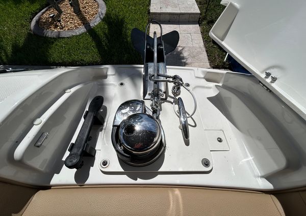 Sea-ray SDX-270-OUTBOARD image