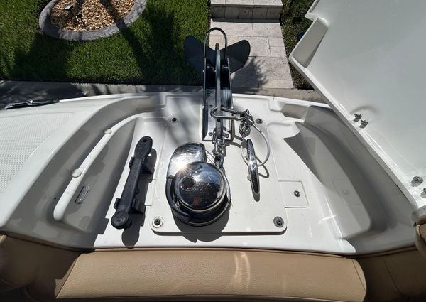 Sea-ray SDX-270-OUTBOARD image