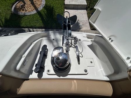 Sea-ray SDX-270-OUTBOARD image