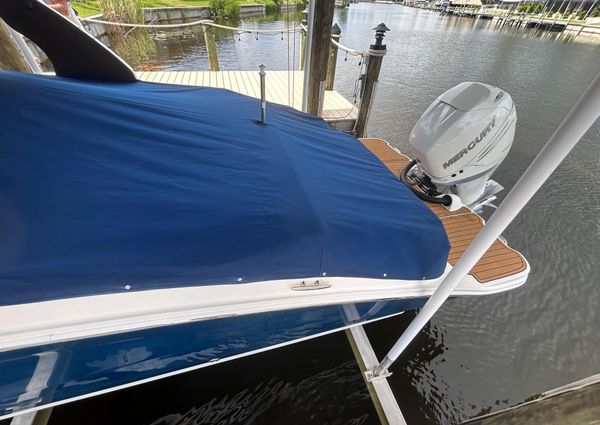 Sea-ray SDX-270-OUTBOARD image