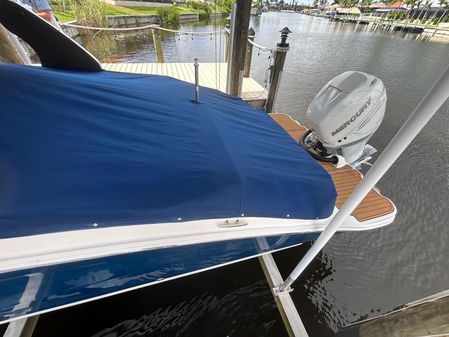 Sea-ray SDX-270-OUTBOARD image