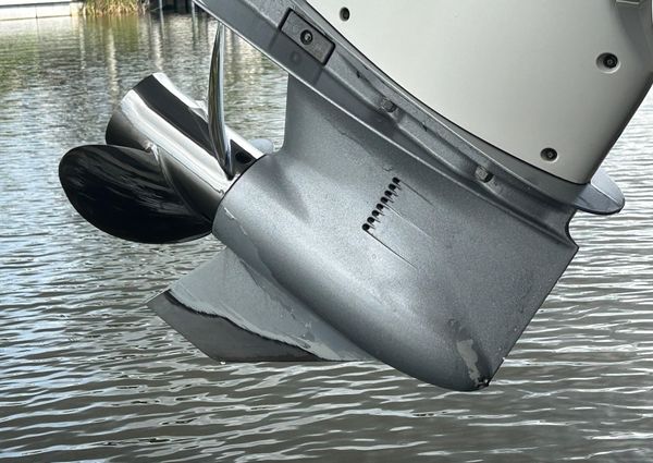 Sea-ray SDX-270-OUTBOARD image