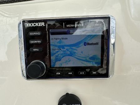 Pioneer 202 Islander image