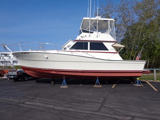 Viking 41 Convertible - main image