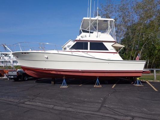 Viking 41-CONV-SPORT-FISHER - main image