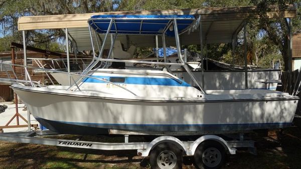 Shamrock 20