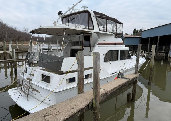 Uniflite FLYBRIDGE-DOUBLE-CABIN-MOTOR-YACHT image